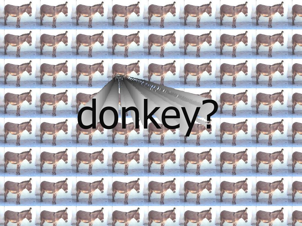 donkey11