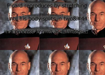 Captain Picard Fun Fact