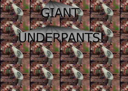 peewee's giant underpants!