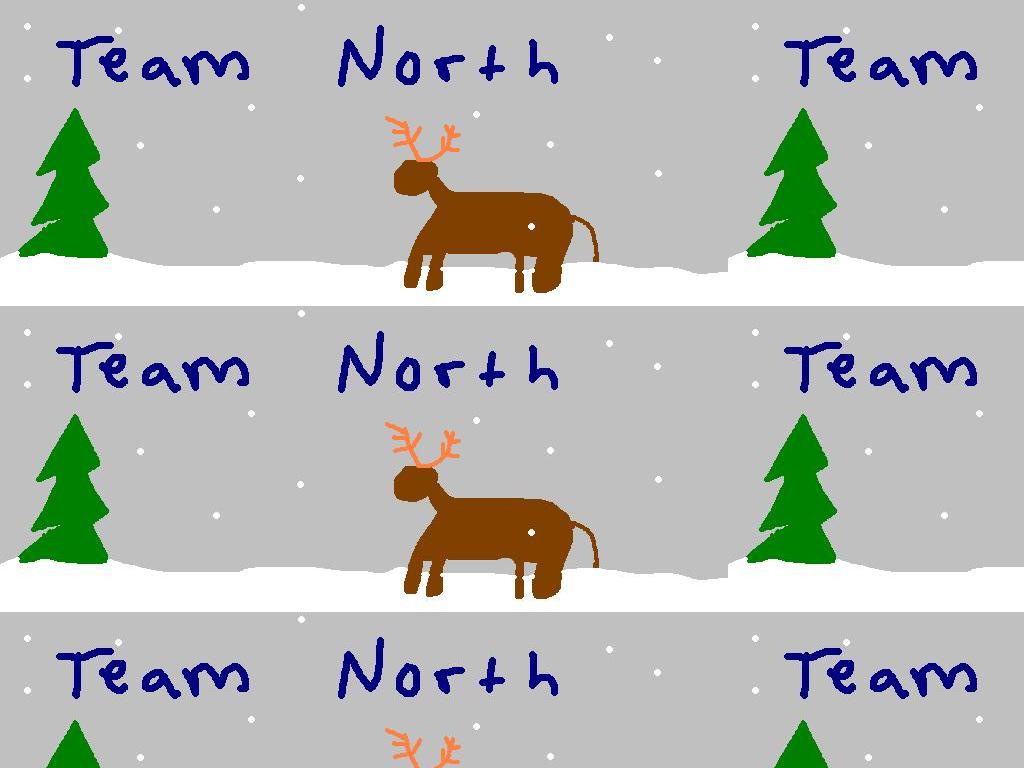 TeamNorth