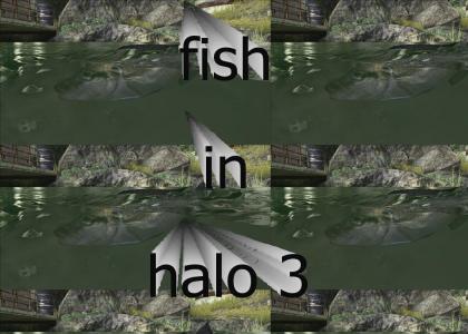 HALO FISH OWN3s
