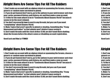 Raid Guidelines