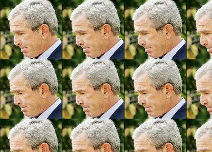 The story of Bush's presidency.