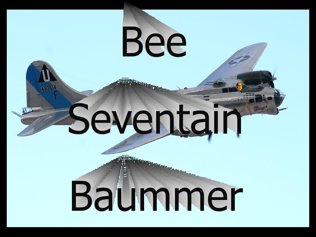 Bee17bomber