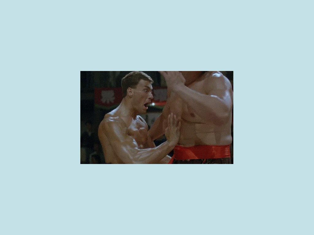 bloodsport2007