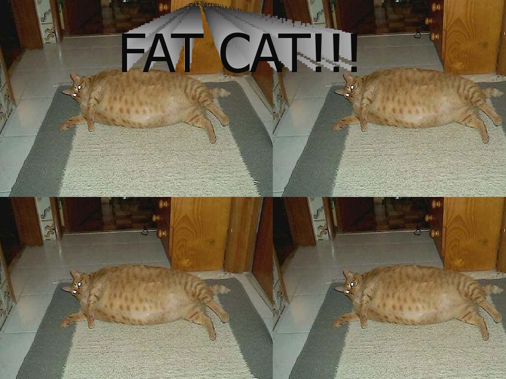 FATCAT1