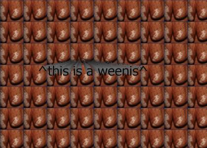 ill sell you my weenis