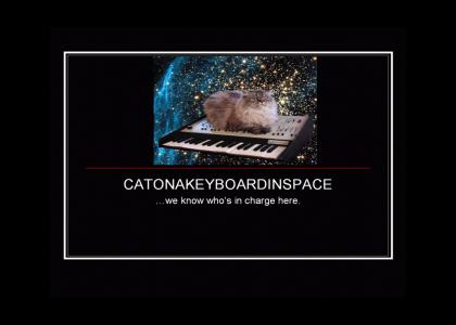 catonakeyboardinspace Motivational Poster