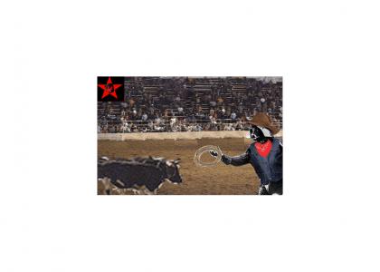 Ugly Luke Fails At Rodeo