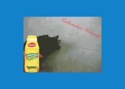 Alligator Dinosaur Wants Some Lemonade!!
