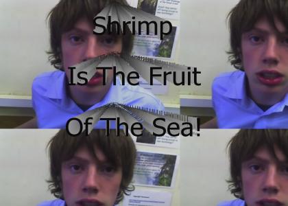 Shrimp is the fruit of the sea!