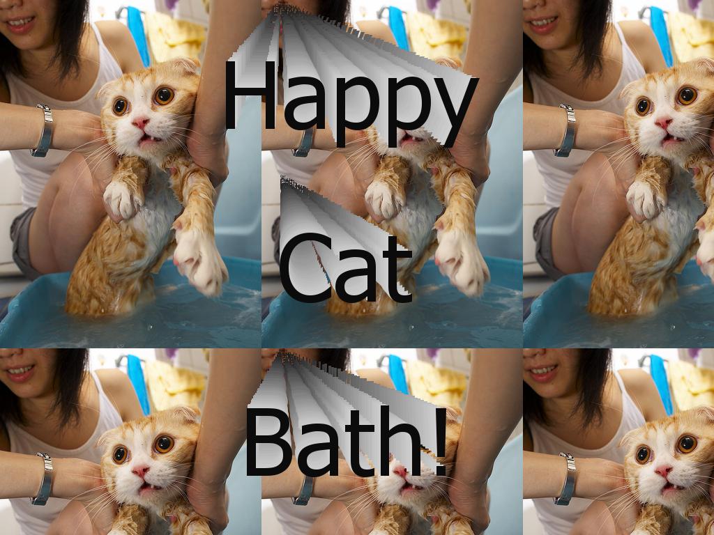 happycatbath