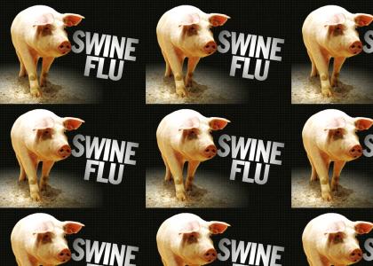 Secret episode of Swine Flu contest