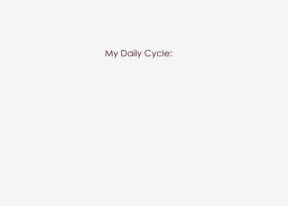 My Daily Cycle
