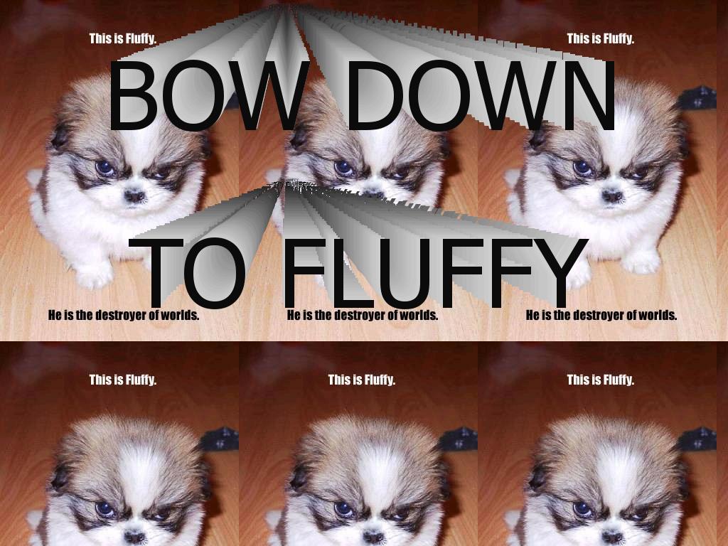 BOWDOWNTOFLUFFY