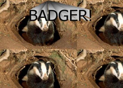 Badger!!