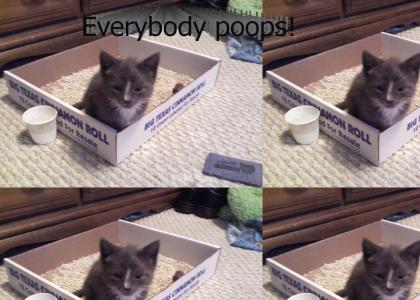 Everybody poops