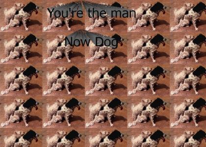your the man now dog
