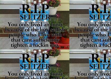 R.I.P. seltzer