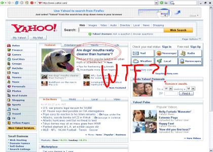 Yahoo really likes dogs