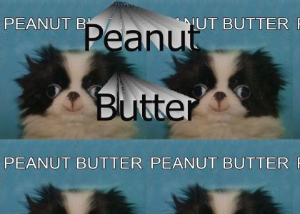 Peanut Butter Puppy