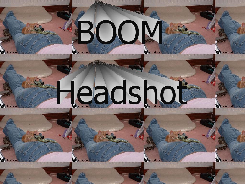 boomheadshotcat
