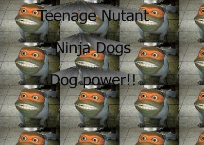 Teenage Mutant Ninja Dogs