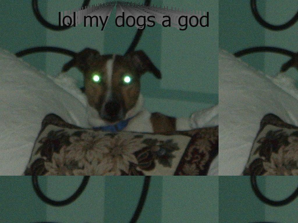 raidensdog