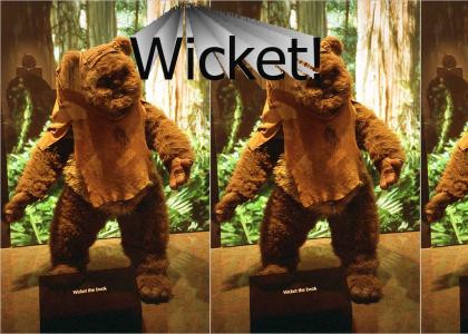 Wicket! Wicket GOOD!