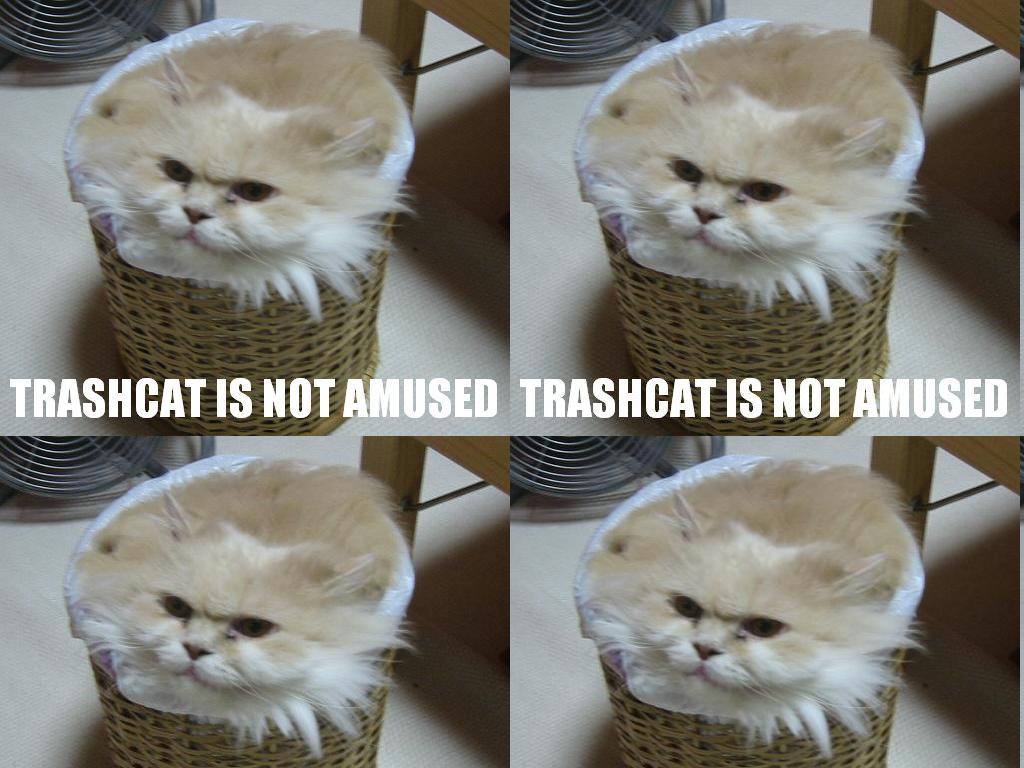 trashcat