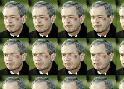 Bush vs. Pretzel