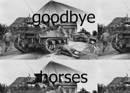Good Bye Horses: Part II
