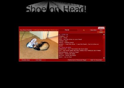 Shoe on Ferret!