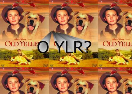 O YLR?