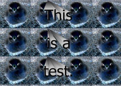This is a test