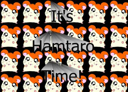 It's Hamtaro Time!