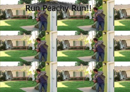 Run peachy run!!