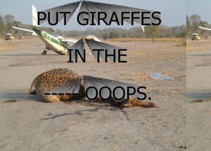Put Giraffes in the where?
