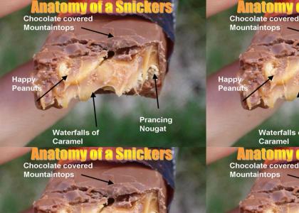 The anatomy of a snickers