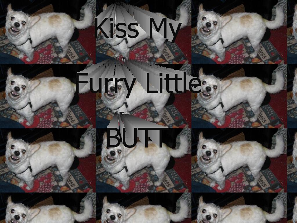 FurryLittleButt