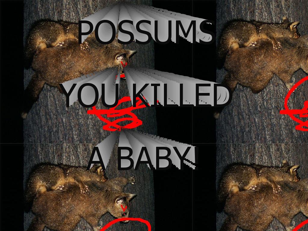 killerpossums2