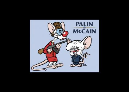 Palin and McCain