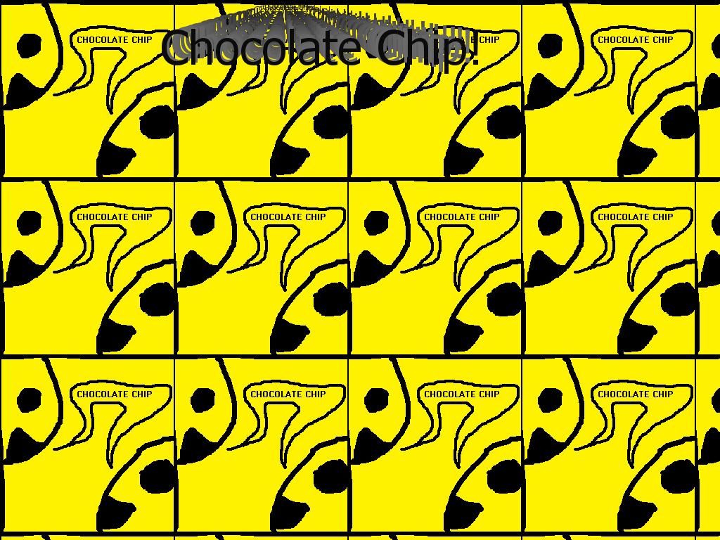 chocolatechip