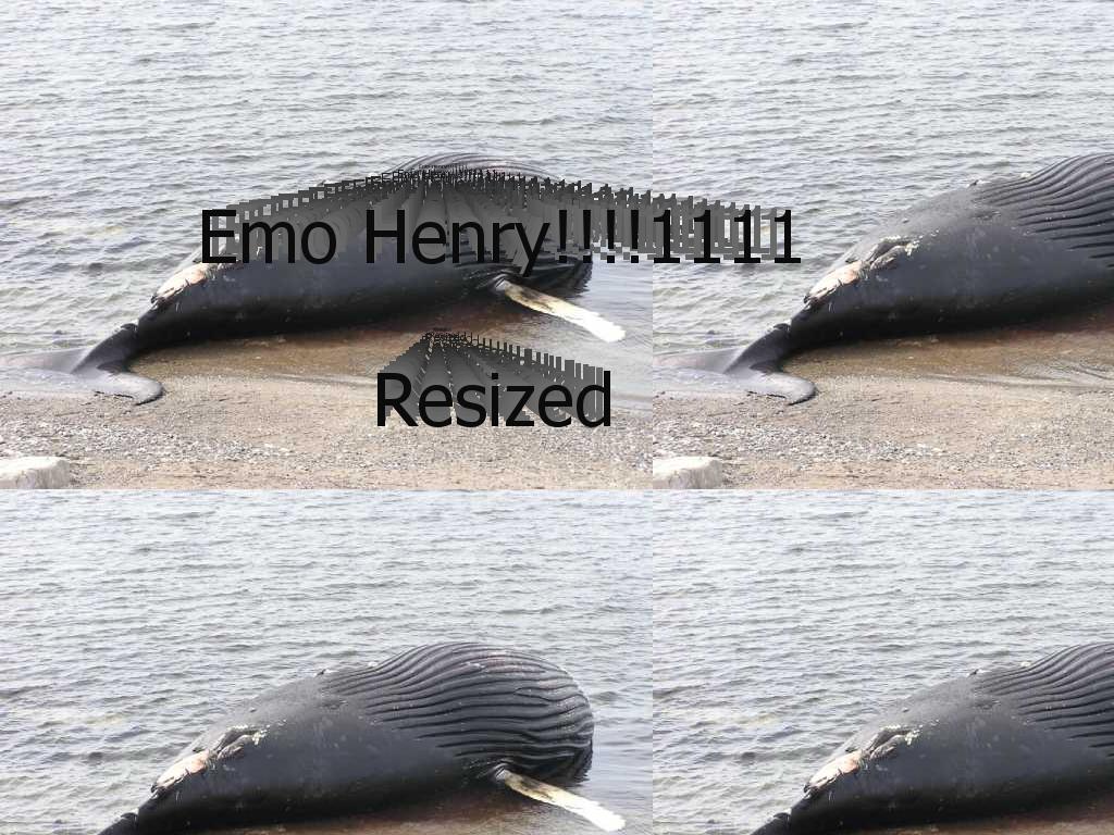 emowhales2