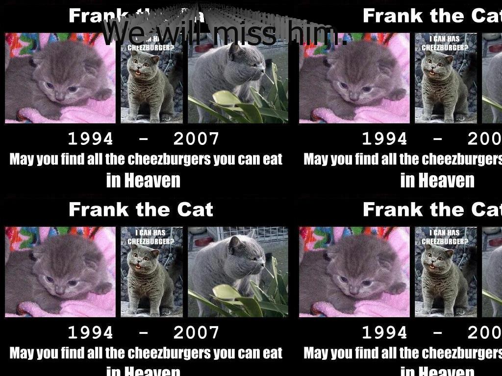 neverforgettheoriginalcat