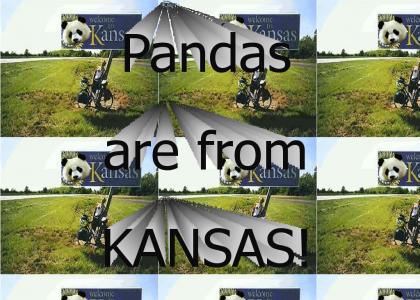 Pandas are from Kansas