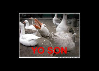 YO SON