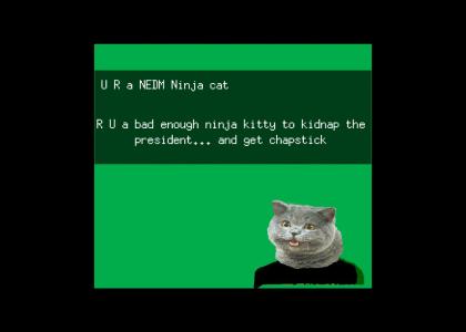 NEDM Ninja Cat