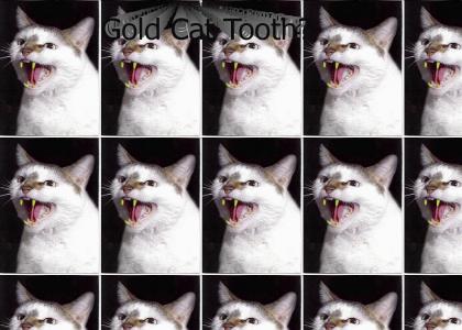 Gold Cat Tooth?