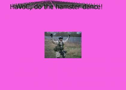 HaVoC Hamster Dance